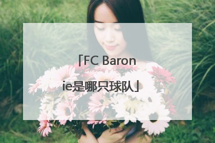 FC Baronie是哪只球队