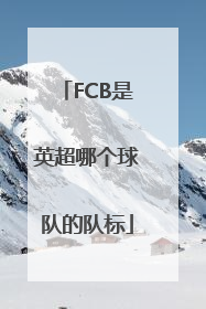 FCB是英超哪个球队的队标