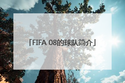 FIFA 08的球队简介