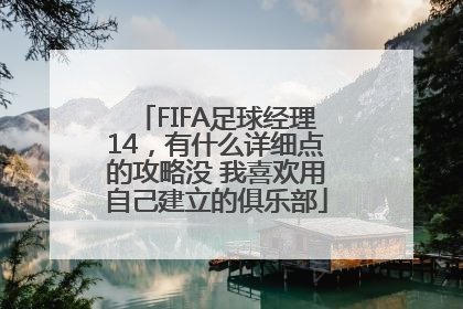 FIFA足球经理14，有什么详细点的攻略没 我喜欢用自己建立的俱乐部