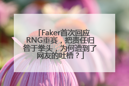 Faker首次回应RNG重赛，把责任归咎于拳头，为何遭到了网友的吐槽？