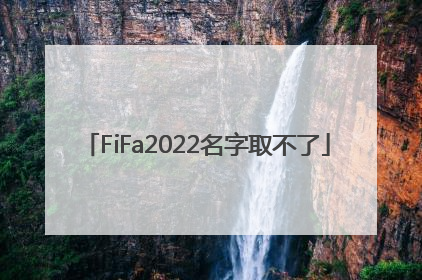 FiFa2022名字取不了
