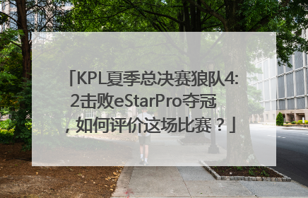 KPL夏季总决赛狼队4:2击败eStarPro夺冠，如何评价这场比赛？