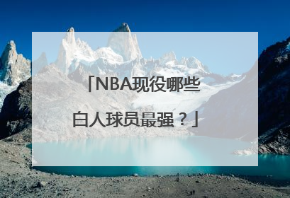 NBA现役哪些白人球员最强？