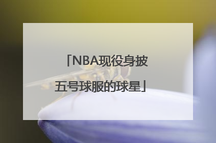 NBA现役身披五号球服的球星