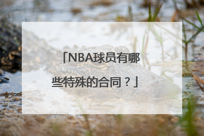 NBA球员有哪些特殊的合同？