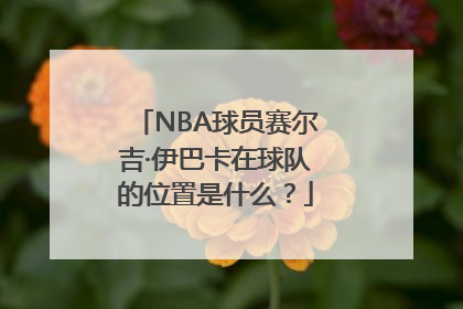 NBA球员赛尔吉·伊巴卡在球队的位置是什么？