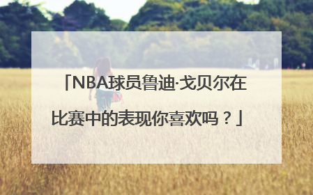 NBA球员鲁迪·戈贝尔在比赛中的表现你喜欢吗？