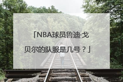 NBA球员鲁迪·戈贝尔的队服是几号？