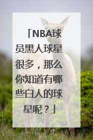 NBA球员黑人球星很多，那么你知道有哪些白人的球星呢？