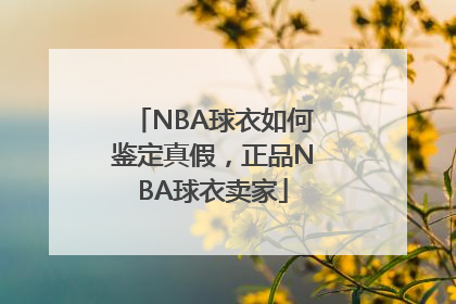 NBA球衣如何鉴定真假，正品NBA球衣卖家