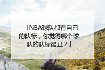 NBA球队都有自己的队标，你觉得哪个球队的队标最丑？