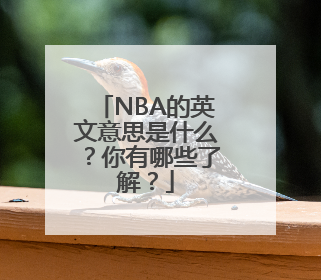 NBA的英文意思是什么？你有哪些了解？