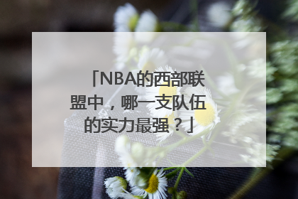 NBA的西部联盟中，哪一支队伍的实力最强？