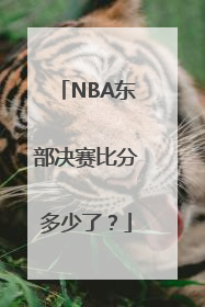 NBA东部决赛比分多少了？