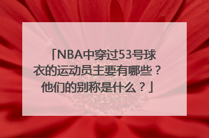 NBA中穿过53号球衣的运动员主要有哪些？他们的别称是什么？