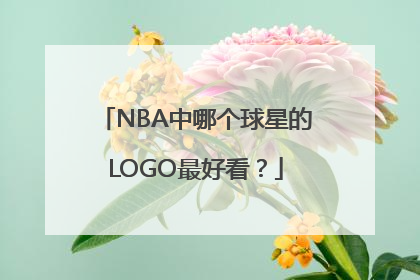 NBA中哪个球星的LOGO最好看？