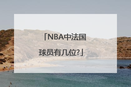 NBA中法国球员有几位?