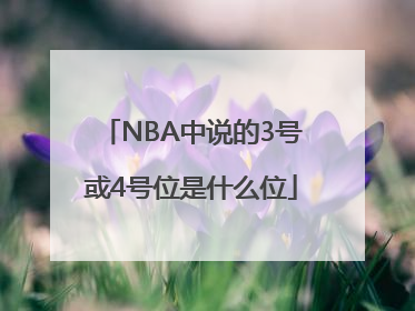 NBA中说的3号或4号位是什么位