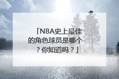 NBA史上最佳的角色球员是哪个？你知道吗？