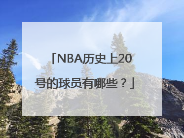 NBA历史上20号的球员有哪些？