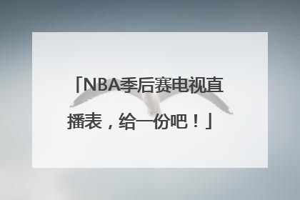 NBA季后赛电视直播表，给一份吧！