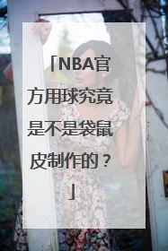 NBA官方用球究竟是不是袋鼠皮制作的？