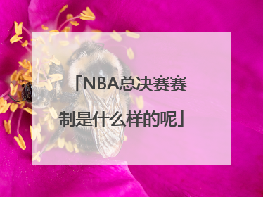 NBA总决赛赛制是什么样的呢