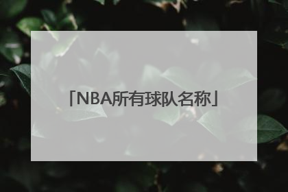 NBA所有球队名称