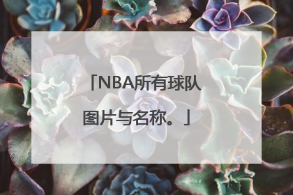 NBA所有球队图片与名称。