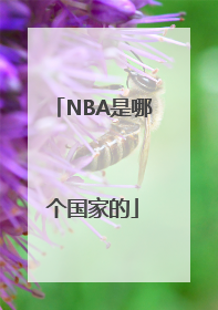 NBA是哪个国家的