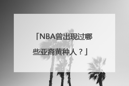 NBA曾出现过哪些亚裔黄种人？