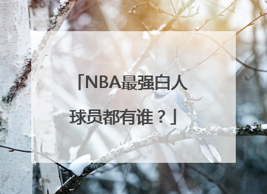 NBA最强白人球员都有谁？