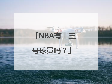 NBA有十三号球员吗？