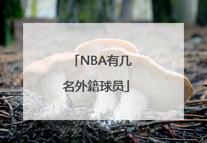 NBA有几名外籍球员