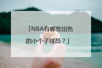 NBA有哪些出色的小个子球员？