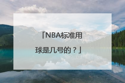 NBA标准用球是几号的？