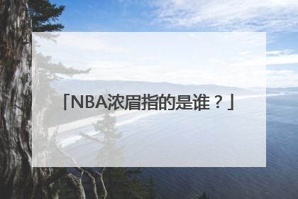 NBA浓眉指的是谁？