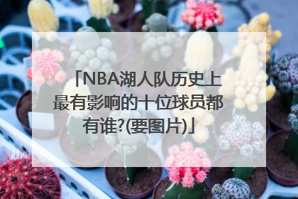 NBA湖人队历史上最有影响的十位球员都有谁?(要图片)