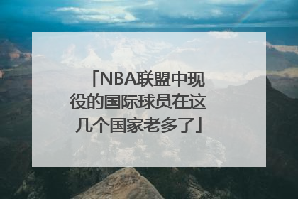 NBA联盟中现役的国际球员在这几个国家老多了