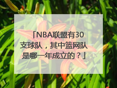 NBA联盟有30支球队，其中篮网队是哪一年成立的？