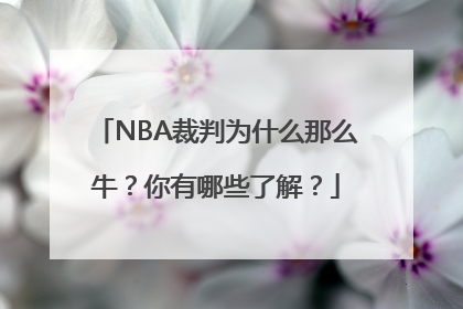 NBA裁判为什么那么牛？你有哪些了解？