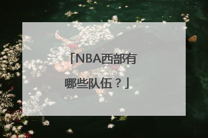 NBA西部有哪些队伍？