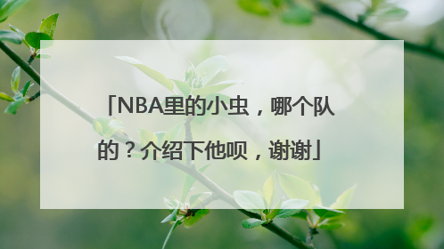 NBA里的小虫，哪个队的？介绍下他呗，谢谢