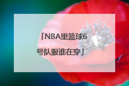 NBA里篮球6号队服谁在穿