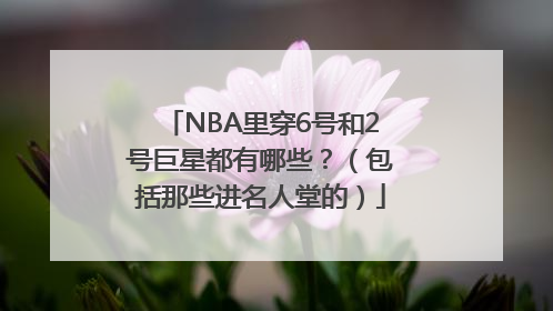 NBA里穿6号和2号巨星都有哪些？（包括那些进名人堂的）