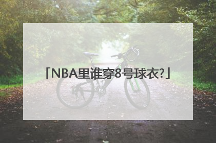 NBA里谁穿8号球衣?