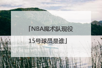 NBA魔术队现役15号球员是谁