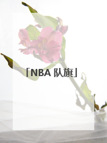 NBA 队旗