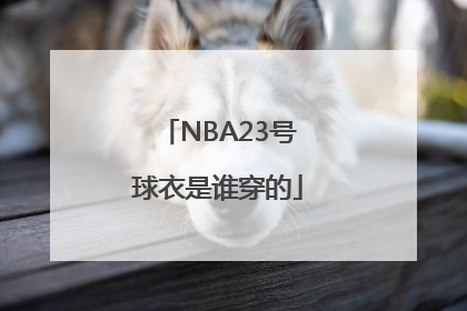 NBA23号球衣是谁穿的